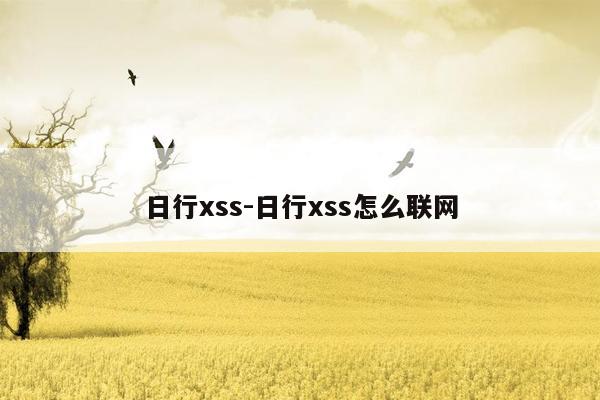 日行xss-日行xss怎么联网