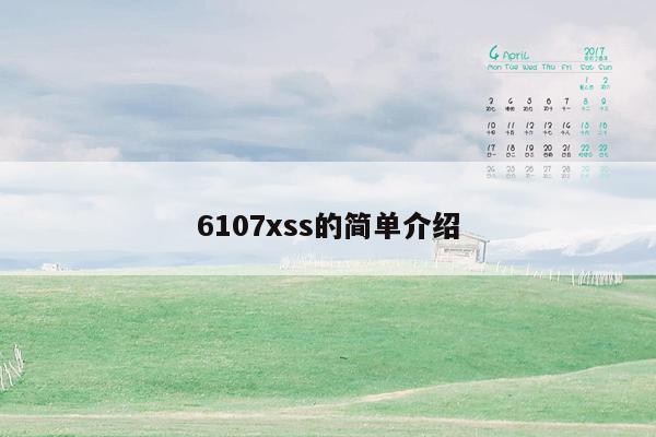 6107xss的简单介绍