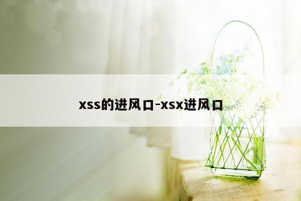 xss的进风口-xsx进风口