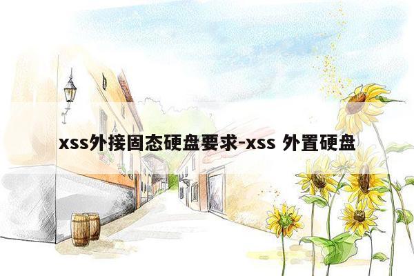 xss外接固态硬盘要求-xss 外置硬盘