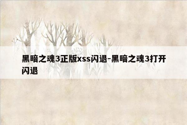 黑暗之魂3正版xss闪退-黑暗之魂3打开闪退