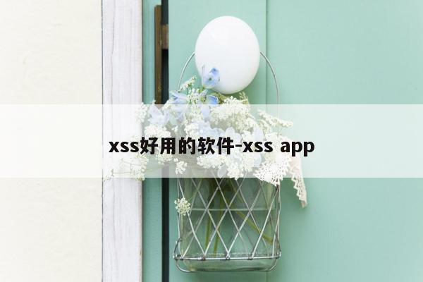 xss好用的软件-xss app