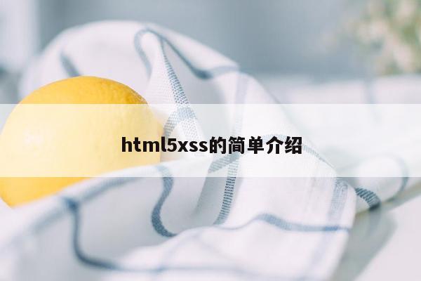 html5xss的简单介绍