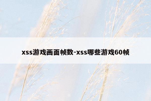 xss游戏画面帧数-xss哪些游戏60帧