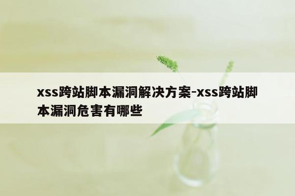 xss跨站脚本漏洞解决方案-xss跨站脚本漏洞危害有哪些