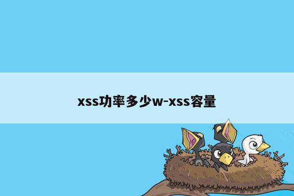 xss功率多少w-xss容量
