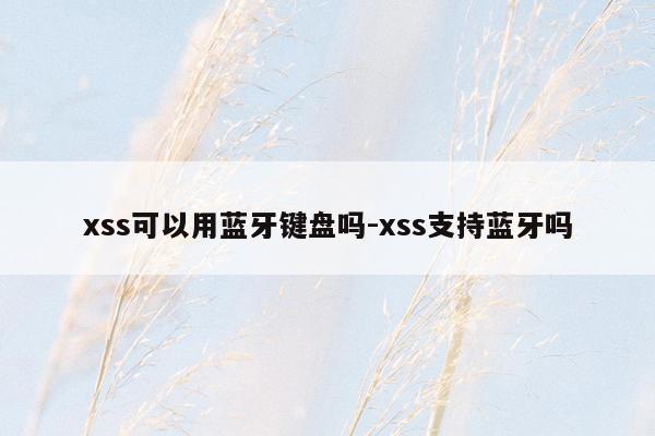 xss可以用蓝牙键盘吗-xss支持蓝牙吗
