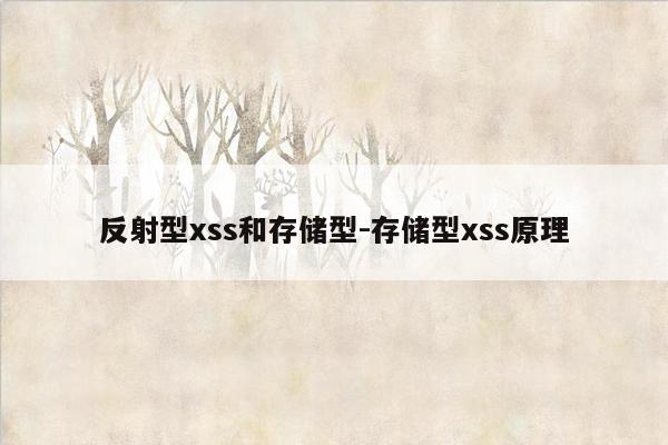 反射型xss和存储型-存储型xss原理