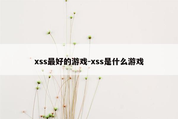 xss最好的游戏-xss是什么游戏