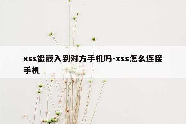 xss能嵌入到对方手机吗-xss怎么连接手机