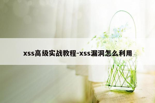 xss高级实战教程-xss漏洞怎么利用