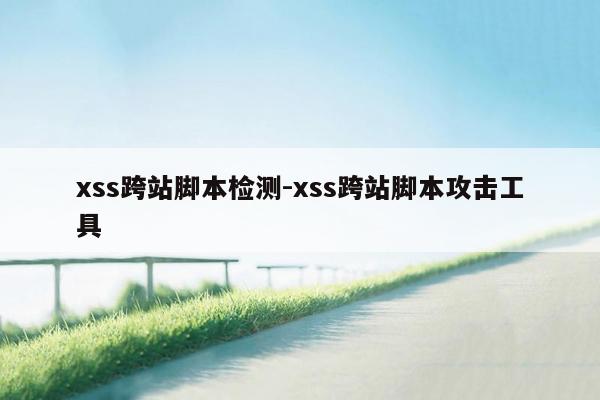 xss跨站脚本检测-xss跨站脚本攻击工具