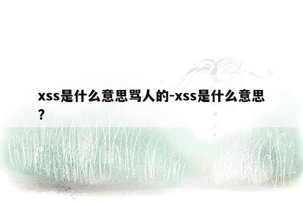 xss是什么意思骂人的-xss是什么意思?