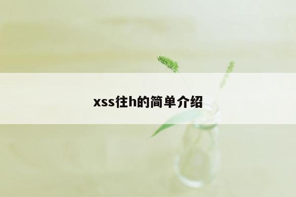 xss往h的简单介绍