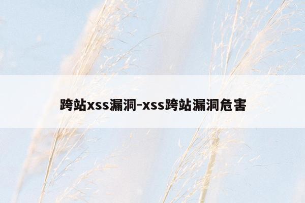 跨站xss漏洞-xss跨站漏洞危害