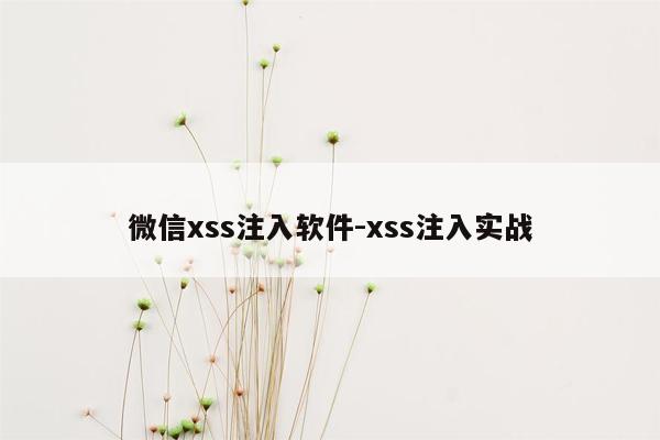 微信xss注入软件-xss注入实战