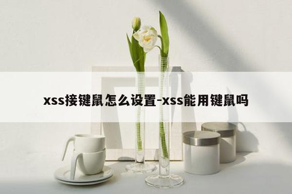 xss接键鼠怎么设置-xss能用键鼠吗