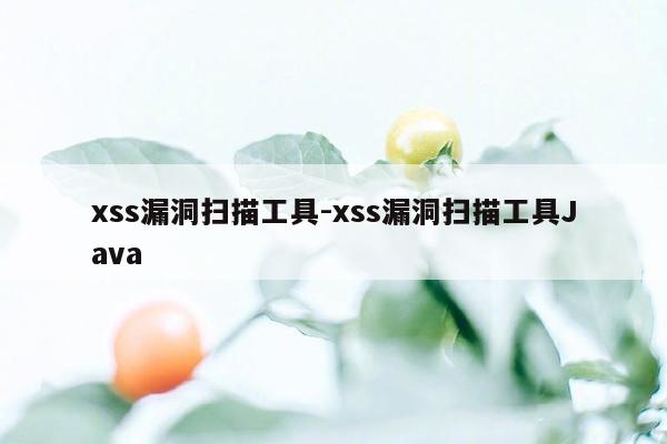 xss漏洞扫描工具-xss漏洞扫描工具Java