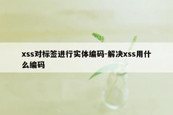 xss对标签进行实体编码-解决xss用什么编码