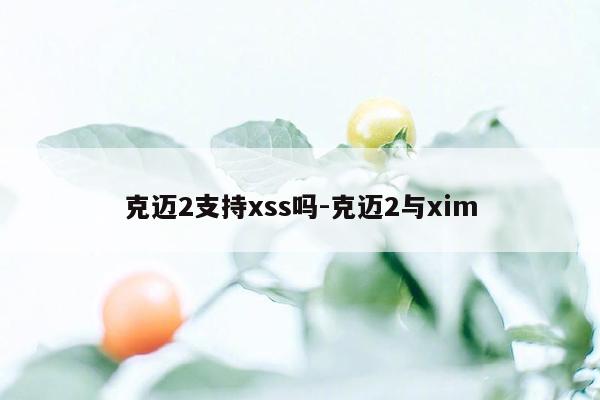克迈2支持xss吗-克迈2与xim