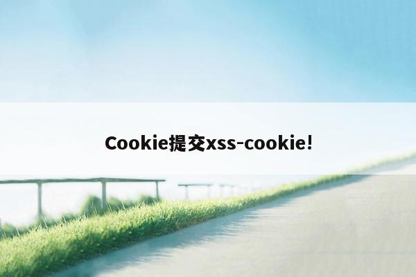 Cookie提交xss-cookie!