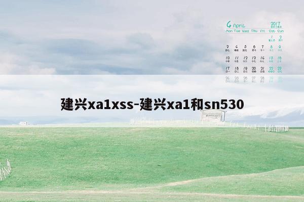 建兴xa1xss-建兴xa1和sn530
