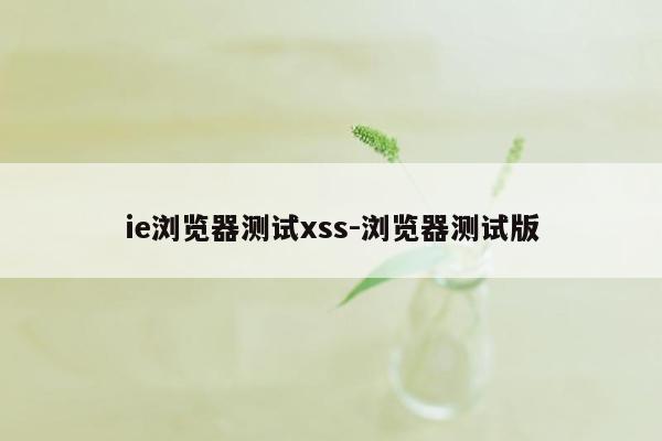 ie浏览器测试xss-浏览器测试版