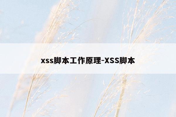 xss脚本工作原理-XSS脚本