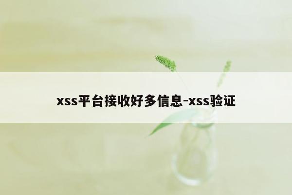 xss平台接收好多信息-xss验证