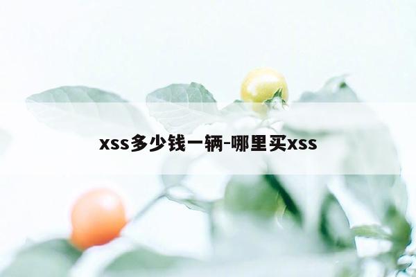 xss多少钱一辆-哪里买xss