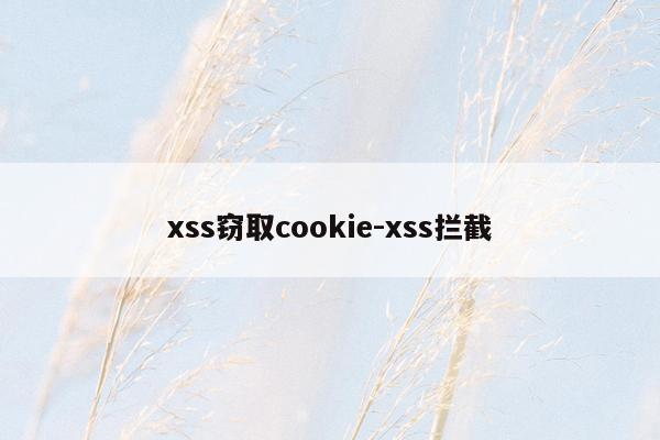 xss窃取cookie-xss拦截