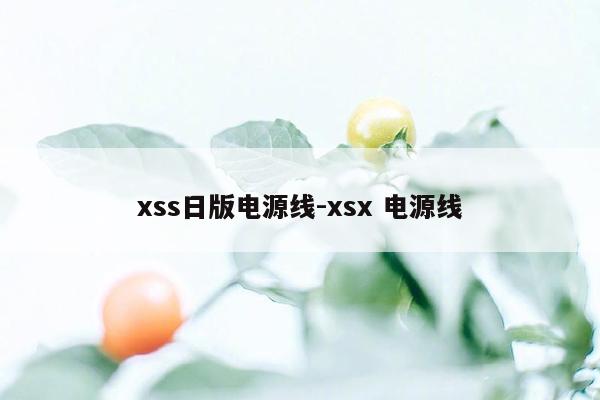 xss日版电源线-xsx 电源线