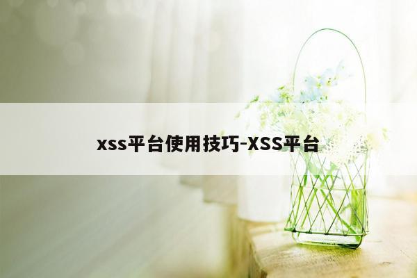 xss平台使用技巧-XSS平台