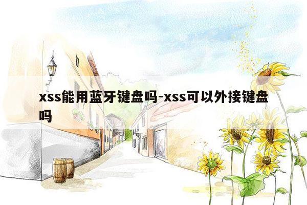 xss能用蓝牙键盘吗-xss可以外接键盘吗
