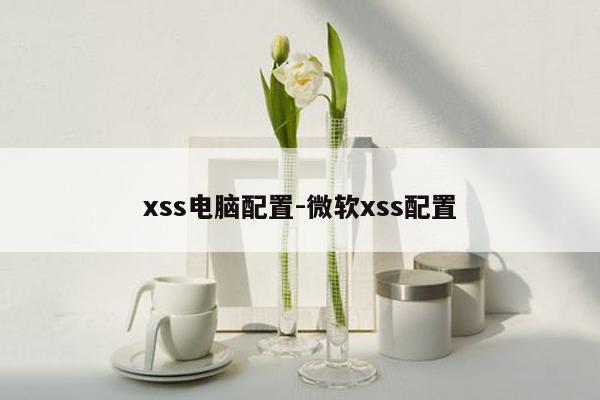 xss电脑配置-微软xss配置