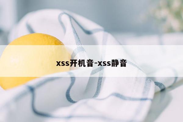 xss开机音-xss静音