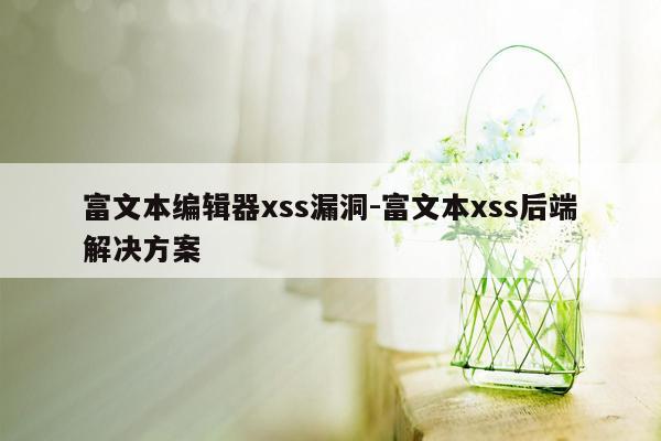 富文本编辑器xss漏洞-富文本xss后端解决方案