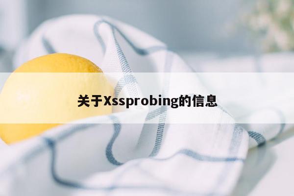 关于Xssprobing的信息