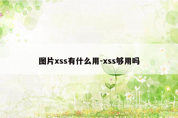 图片xss有什么用-xss够用吗