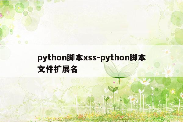python脚本xss-python脚本文件扩展名