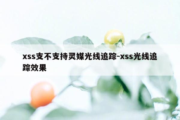 xss支不支持灵媒光线追踪-xss光线追踪效果