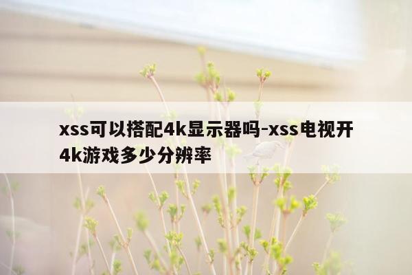 xss可以搭配4k显示器吗-xss电视开4k游戏多少分辨率