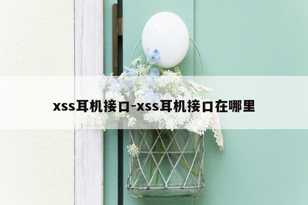 xss耳机接口-xss耳机接口在哪里