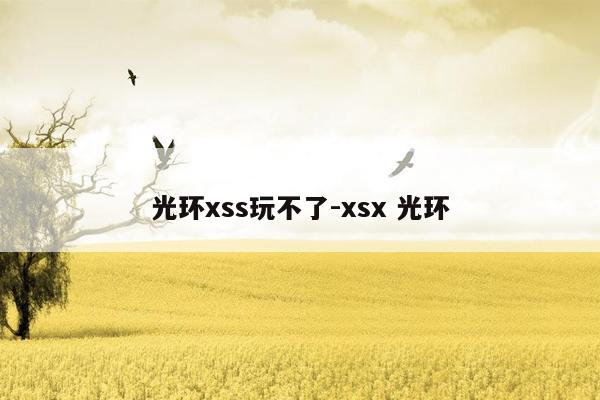 光环xss玩不了-xsx 光环