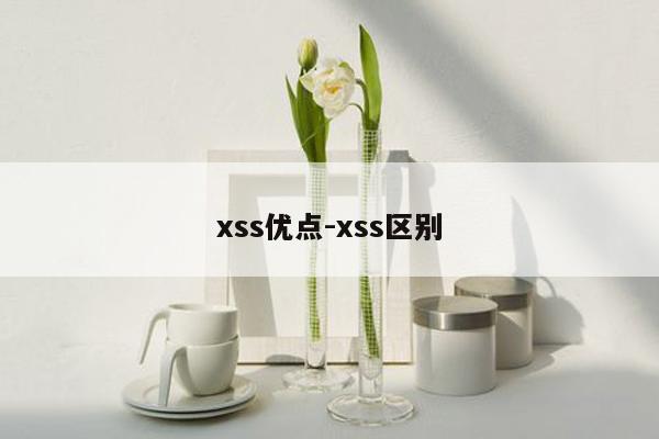 xss优点-xss区别