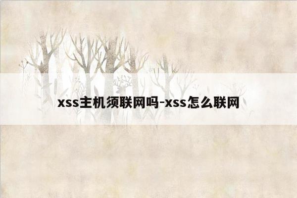 xss主机须联网吗-xss怎么联网