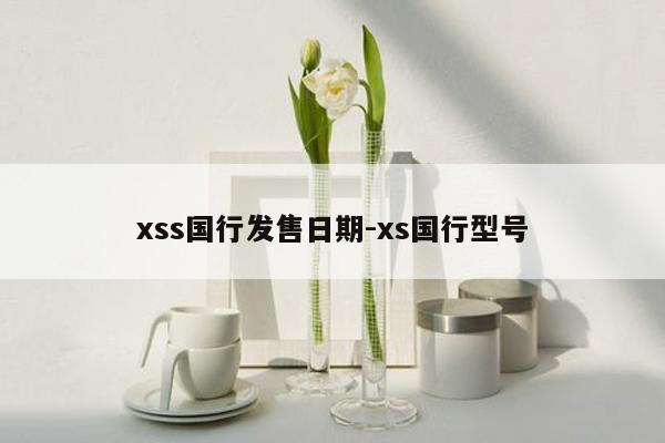 xss国行发售日期-xs国行型号