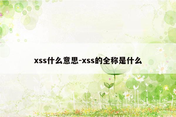 xss什么意思-xss的全称是什么