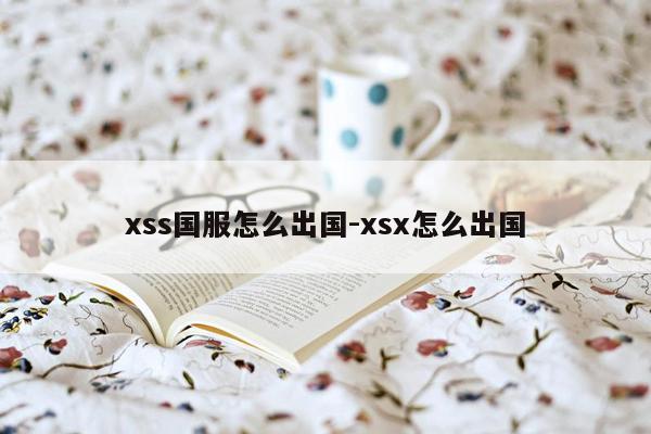 xss国服怎么出国-xsx怎么出国