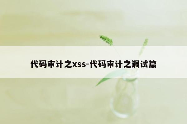 代码审计之xss-代码审计之调试篇